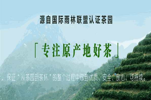 黄山毛峰茶叶加盟