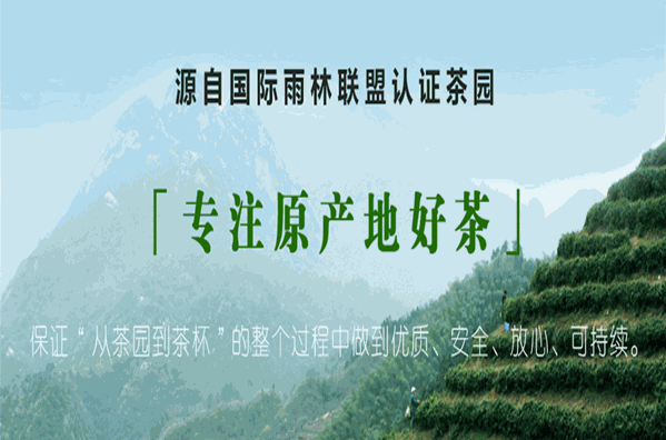 黄山毛峰茶叶加盟