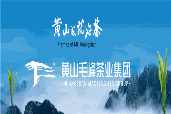 黄山毛峰茶叶加盟