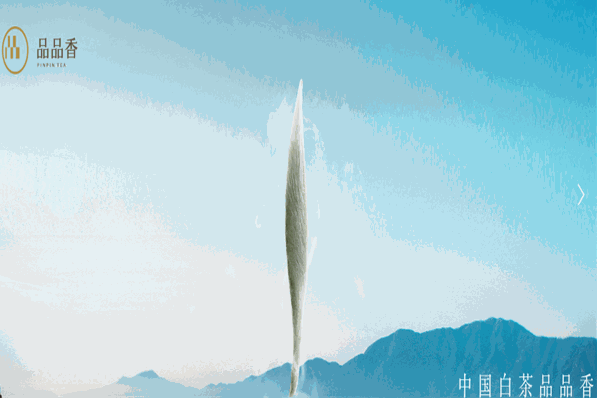 品品香茶叶加盟