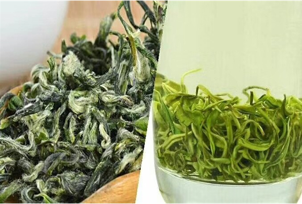 都匀毛尖茶加盟
