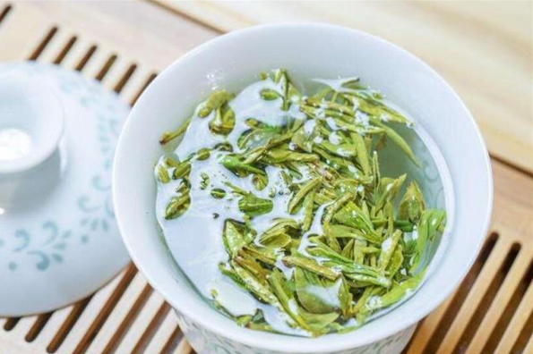 仙醇茶叶加盟