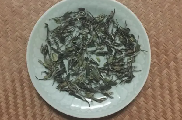 陈源泰白茶加盟