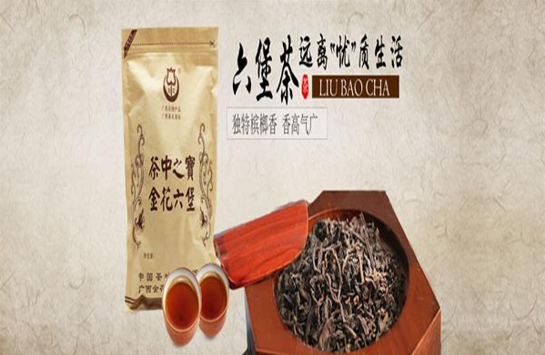 金花茶叶加盟