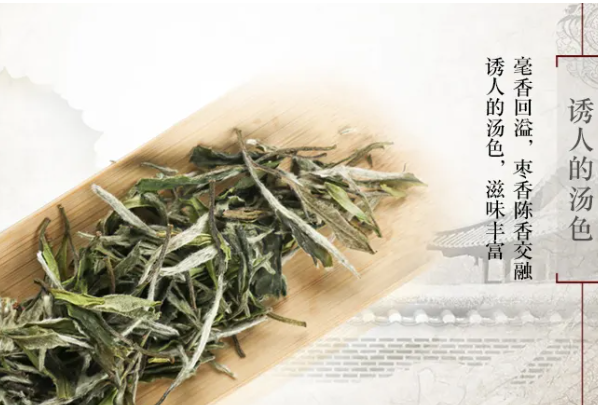 陈源泰白茶加盟