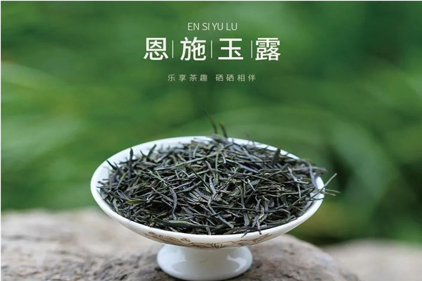 恩施玉露茶叶加盟