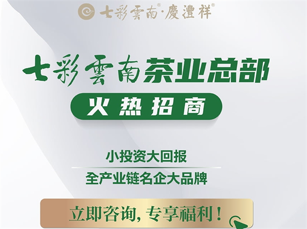 庆沣祥七彩云南普洱茶