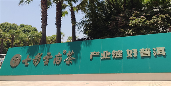 庆沣祥七彩云南普洱茶