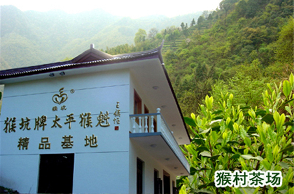 太平猴魁茶叶加盟