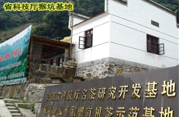 太平猴魁茶叶加盟