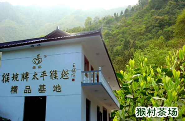 太平猴魁茶叶加盟