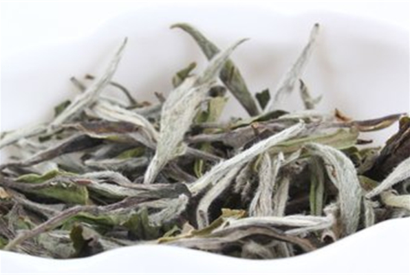 东九升白茶加盟