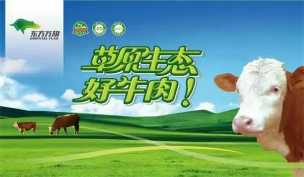 东方万旗肉牛加盟