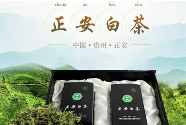 正安白茶加盟