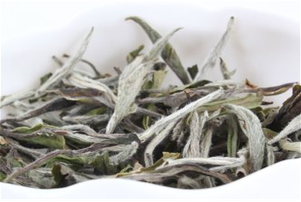 东九升白茶加盟