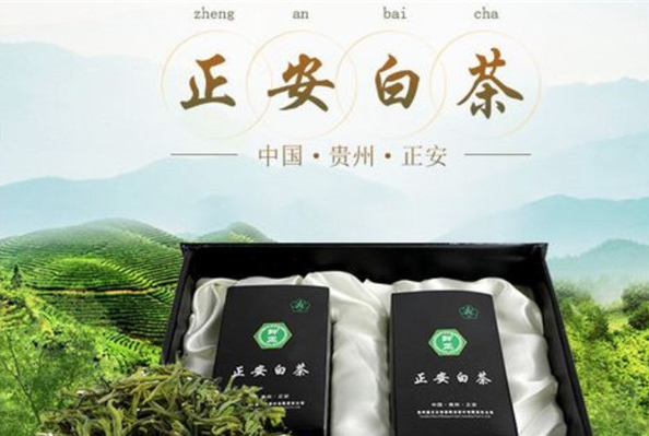 正安白茶加盟
