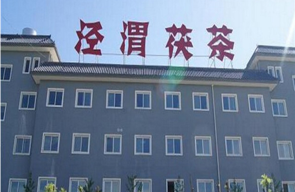 泾渭茯茶加盟