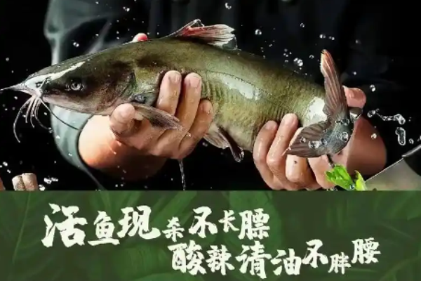 管老虎酸萝卜鱼火锅加盟