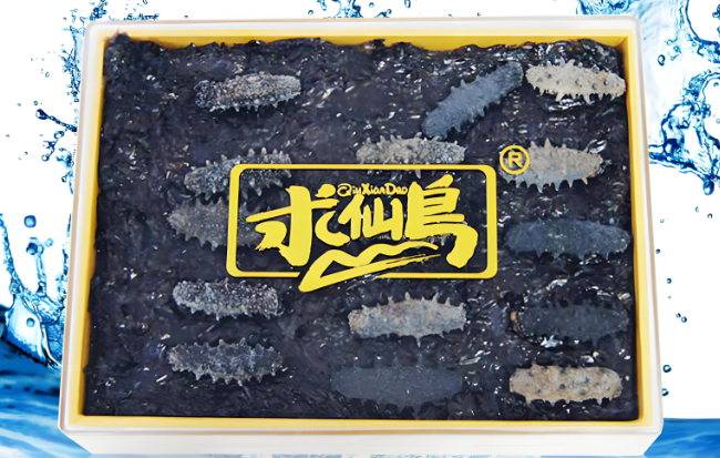 求仙岛海参