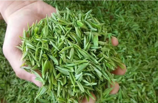 福瑞璟茶业