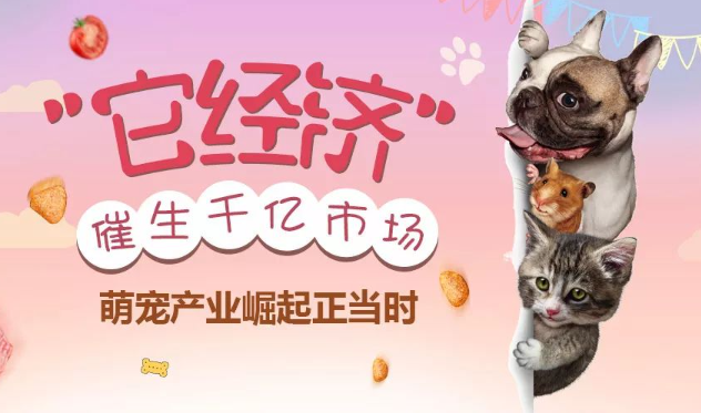 上海做什么小生意能赚钱啊？上海小生意掘金指南