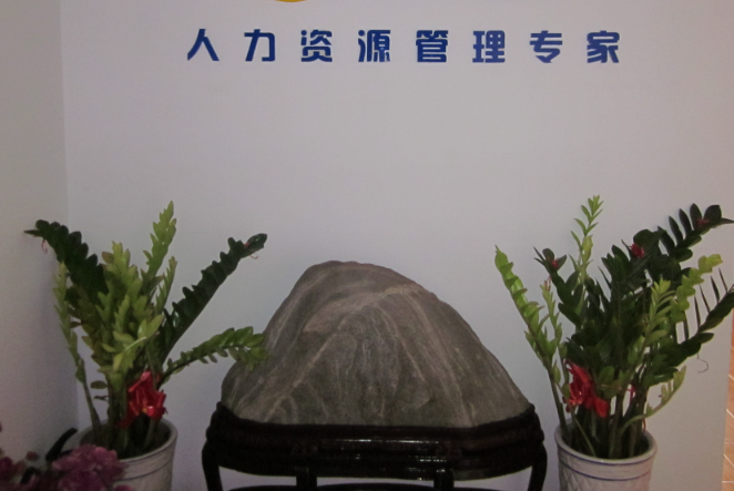 在上海开人力资源公司投资大吗？深度解析行业成本与风险