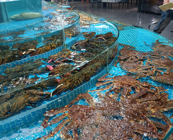 上海开水产店投资多少？从选址到运营的全流程成本解析