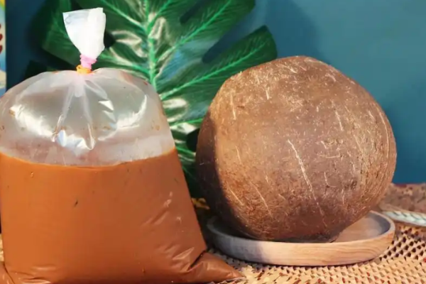 泰觅老挝冰咖啡加盟