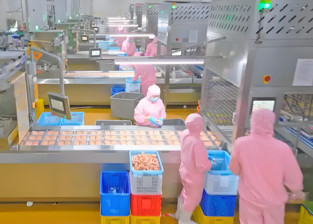 上海开速冻食品加工厂前期投资多少？前期投资全解析