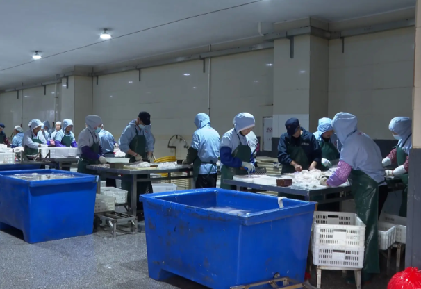 上海小型速冻食品厂投资多少钱