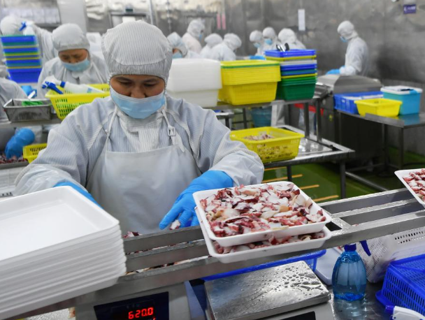 上海小型速冻食品厂投资多少钱