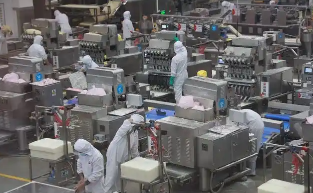 上海开速冻食品加工厂前期投资多少？前期投资全解析