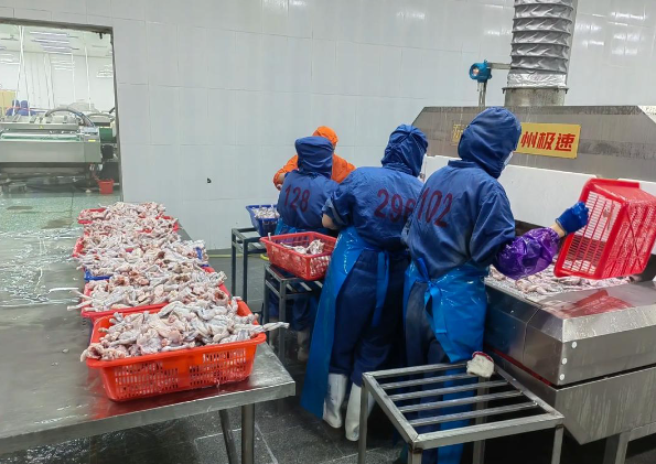 上海开速冻食品加工厂前期投资多少？前期投资全解析
