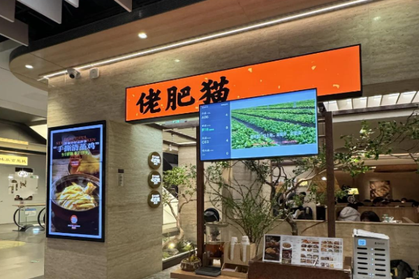佬肥猫江浙菜加盟