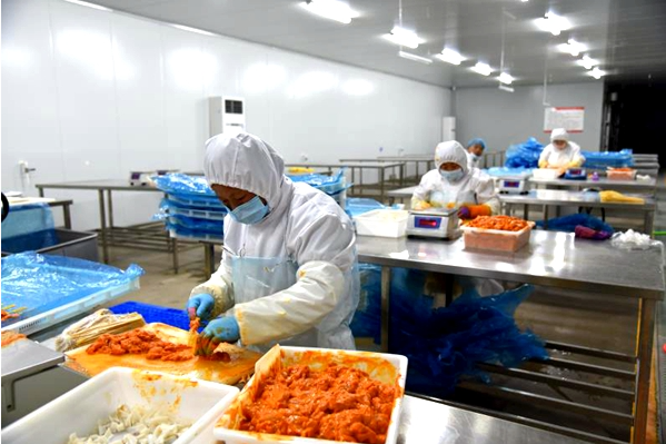 上海速冻食品厂投资需要多少钱？从土地到运营的全链条测算