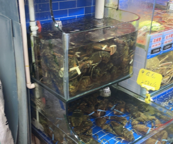 上海开海鲜馆需要投资多少？深度解析与成本规划