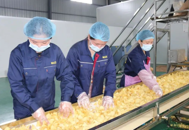 上海开薯片厂投资多少店好？市场投资分析