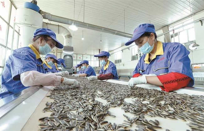 上海瓜子加工厂投资多少钱？上海瓜子加工厂投资成本全解析