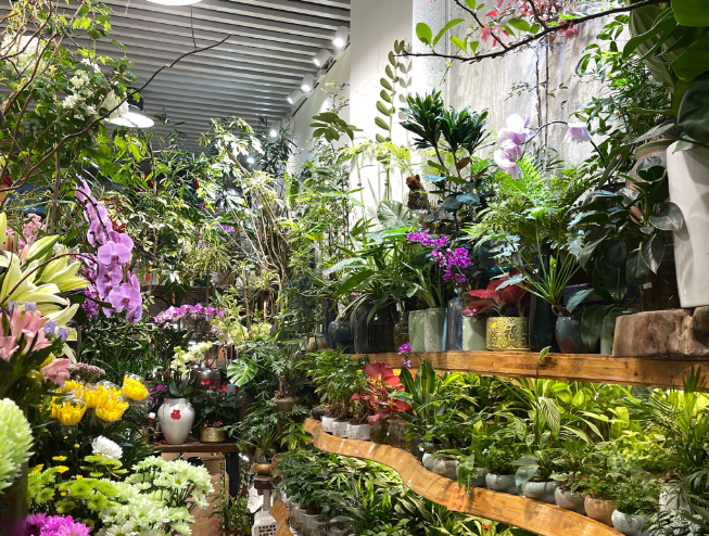 上海开一家花店投资多少钱？全流程成本解析与实战指南
