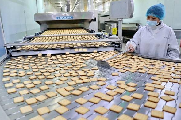 上海饼干厂投资需要多少钱？运营成本分析