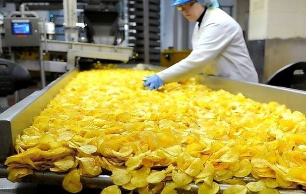上海开薯片加工厂投资多钱店赚钱吗？投资成本与盈利前景分析