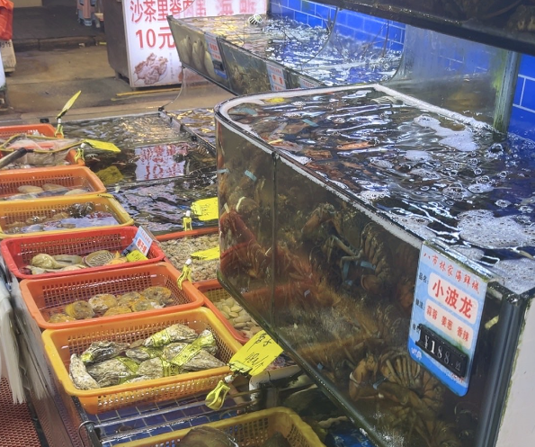 上海开海鲜馆需要投资多少？深度解析与成本规划