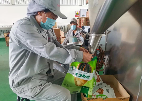 上海瓜子加工厂投资多少钱？上海瓜子加工厂投资成本全解析