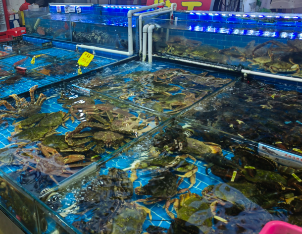 上海开开海鲜门市要投资多少钱？上海开海鲜门市投资指南