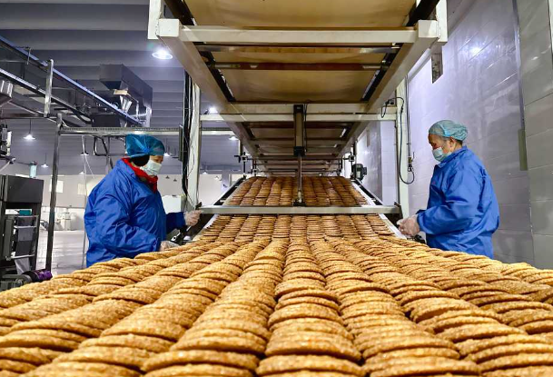 上海饼干厂投资需要多少钱？运营成本分析