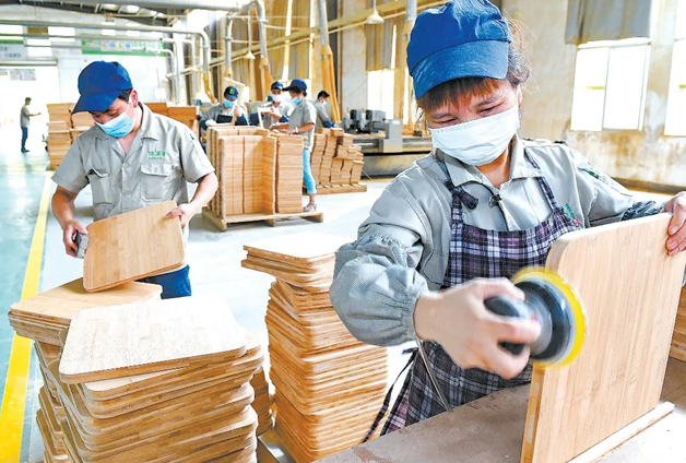 上海竹纤维加工厂投资多少？上海竹纤维加工厂投资分析