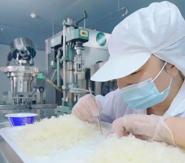 上海开燕窝加工厂最少要投资多少