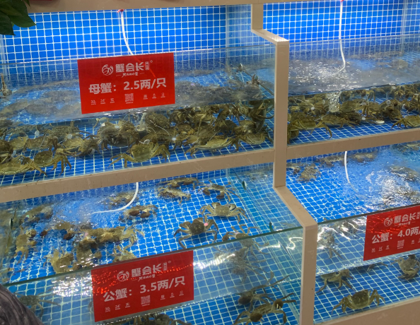 上海开大闸蟹店投资需要多少钱？投资成本全解析