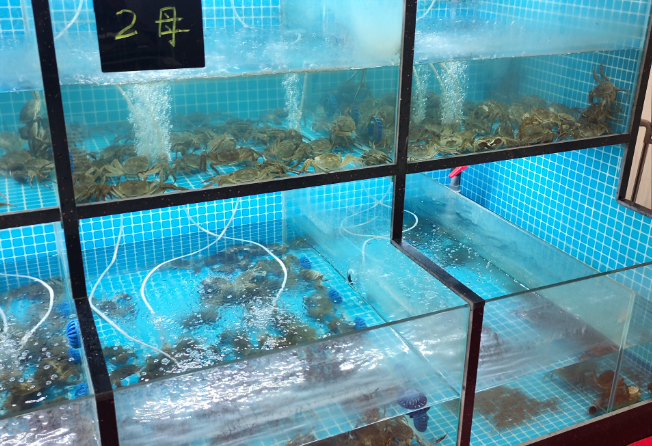 上海开大闸蟹店投资需要多少钱？投资成本全解析