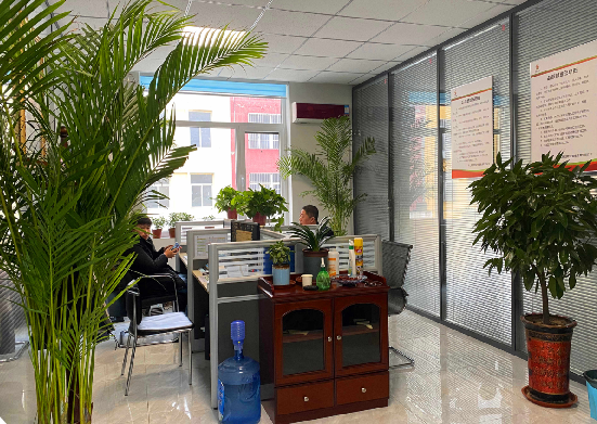 上海开上海著名物业公司店铺要多少钱？投资成本解析